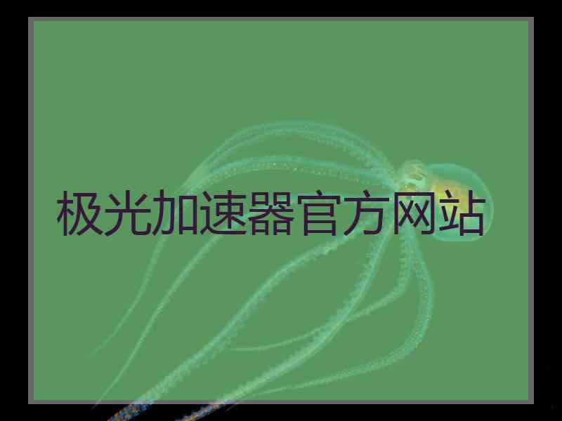 极光加速器官方网站