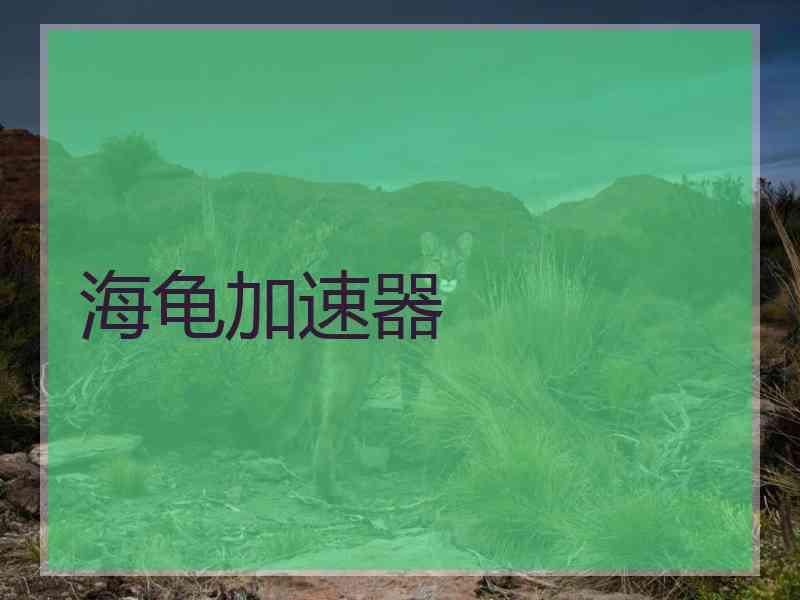 海龟加速器